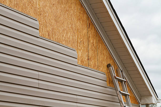 Professional Siding Inspection technician working in Albion, NY